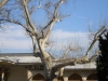 dscn2362